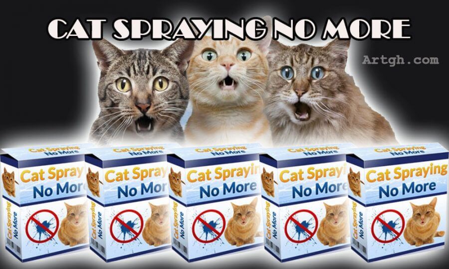 Cat Spraying No More Review Stop Your Cat's Smelly Habit for Good