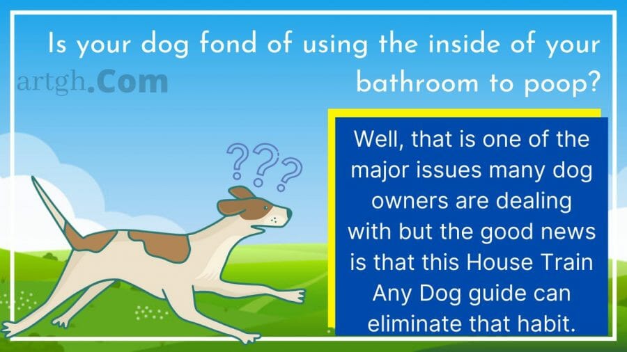 House Train Any Dog Potty Train Tips